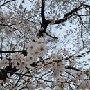 남강둔치(신안동~평거동) 이미지