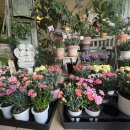 와우대갈비 이미지