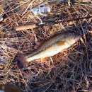 동산동-16 이미지