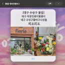 대구 수성구 꽃집] 대구 꽃바구니선물로 만족한 피오리오, 대구 직장인취미꽃꽃이로 프라이빗플라워레슨...