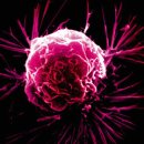 건강가득약국 이미지