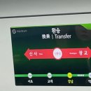 ✈️마이리얼트립 인턴 1달차 (대충쓰는)후기 + 11월 소소한 일상