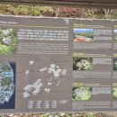 삼국떡집 이미지