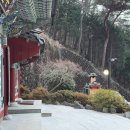 복천사 선원제전집도서 이미지