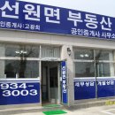 강화동로 Daum카페