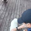 미란이식당 이미지