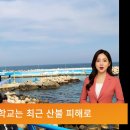 희망 이미지