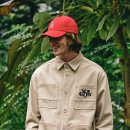 (주)월드컬렉션 이미지