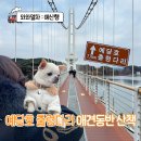 중앙광장 상설무대 | 충남 예산 당일치기 예당호 출렁다리 애견동반 산책 후기