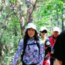 돌마초등길 이미지