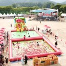 토마토온누리약국 이미지