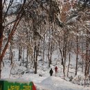 雪國 나주, 눈쌓인 금성산의 아름다움! 이미지