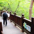 해인사 소리길 이미지