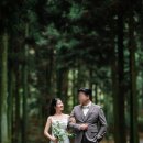 충신사 네이버블로그