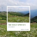 성보빌딩 | [KTX 당일여행] 평창 청옥산 육백마지기·오대산 &amp; 고성 하늬라벤더팜 후기 🌿🚄
