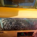 송정동-13 | 경기광주 맛집 송정동 맛집｜꼼장어·쭈꾸미 제대로 하는 볏짚산곰장어와쭈꾸미 후기