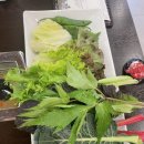 일산쌈밥맛집 든든한 한끼 먹고 싶을 때 강경불고기 일산덕이점
