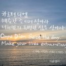 나래디엠