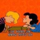 퍼피랩 네이버블로그