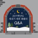 🌱2019 새내기 새로배움터 Q&A 카드뉴스🌱 이미지