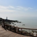 영광군립도서관 이미지