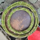 8/1- 쿨한 나의 스승 때문일 것이다. 이미지