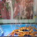 다복파크 이미지