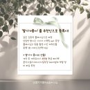 웨딩일기 Ep.28 - 순수 청담 웨딩메이크업 사전상담 후기