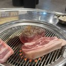 채돈이 이미지