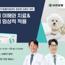 인벳츠 뉴스1