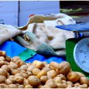 경호민박 이미지