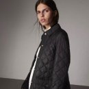 웨스트브릿지 이미지