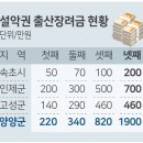 속초시 출산장려금 설악권 지역 중 최하위 이미지