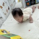 세종전집 | 4개월 아기 첫전집 실제 후기｜세종이도 엄마도 만족한 베틀북 엄마의 첫 선물 📚💕