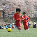 십리대밭축구장 이미지