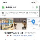 헬로팡팡 이미지