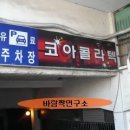 시장무도장 이미지