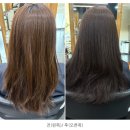 염색하기좋은날 | 수완지구 미용실 모카무스 염색 후기 은강디자이너 봄날헤어 수완점