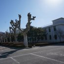 이리남중학교 이미지