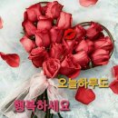 라라리 Daum카페