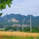 주작산자연휴양림 | [전남 장흥] 주작산자연휴양림 후기 – 숲·계곡·자연이 한가득, 여름 물놀이까지 완벽한 힐링 여행