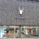 스파이더일산덕이