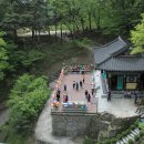 대동중학교 이미지