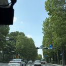 (주)참씨큐리티 | 2026년 6월 캘거리 여행1