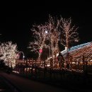 아테나 촬영지 모래언덕, 돗토리 사구를 걷다 이미지