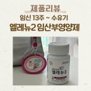 가나종합중기 - 남동구 인주대로710번길 33 | 임신 18주차 임산부 철분 챙기기, 엘레뉴2 임산부영양제 후기