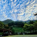 치유행정사사무소 이미지