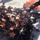 정화목장 이미지