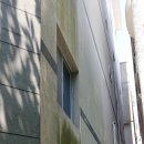 마동-39 이미지