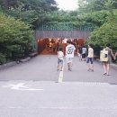 도깨비 몰 이미지